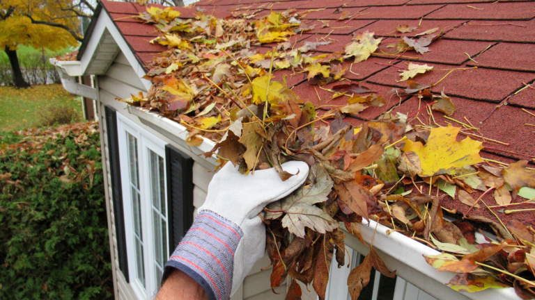 Gutter cleaning service in Carlton, Victoria, removing fallen leaves and debris from a residential roof gutter to help prevent blockages and water damage.